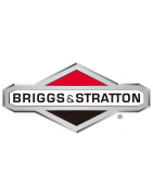 Briggs & Stratton